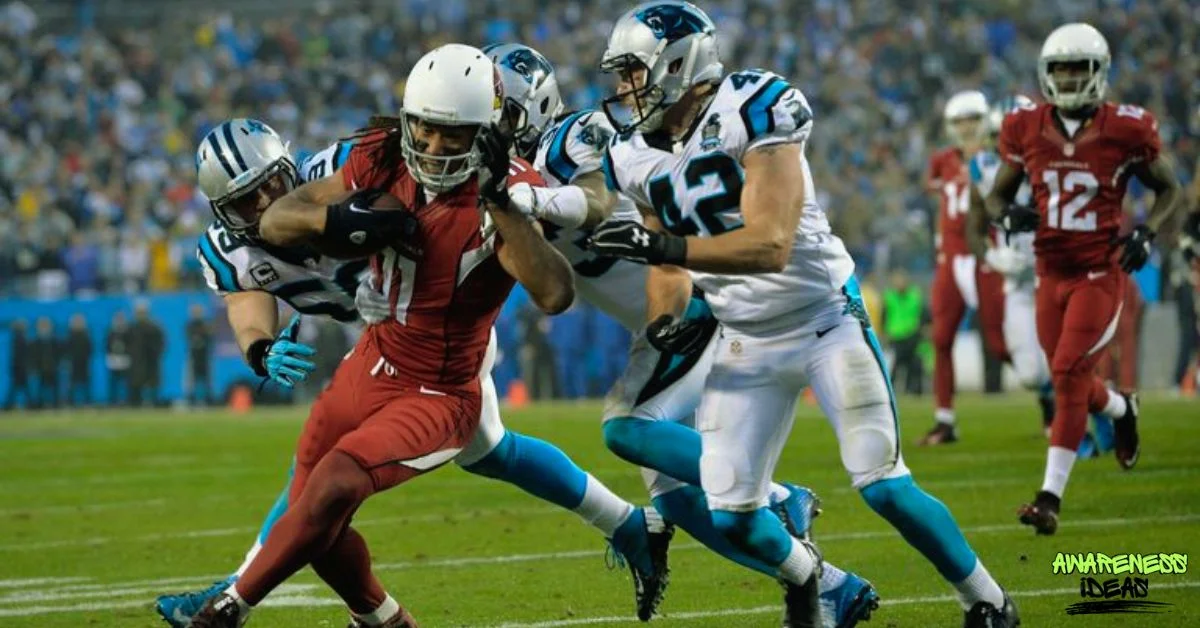 arizona cardinals vs carolina panthers match player stats
