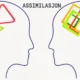 assimilasjon