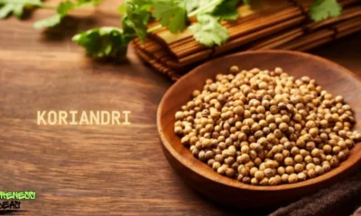 koriandri