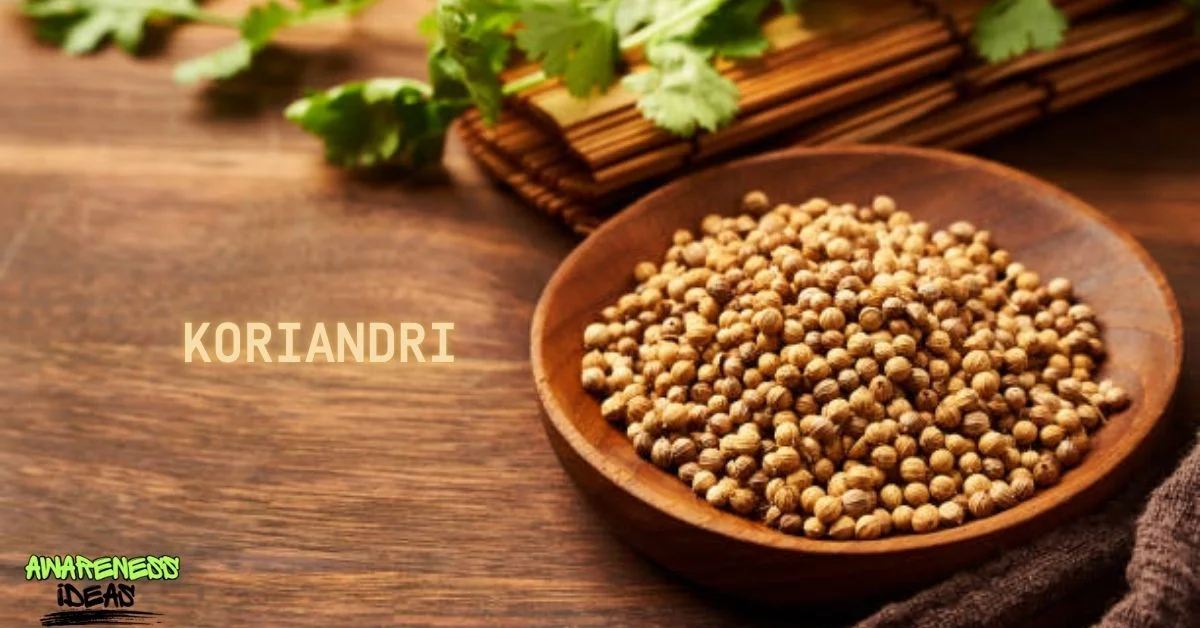 koriandri