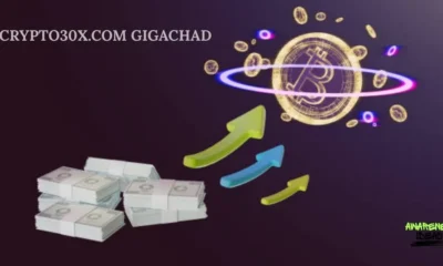crypto30x.com gigachad