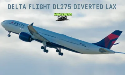 Delta flight DL275 diverted LAX: Full Breakdown of Incident