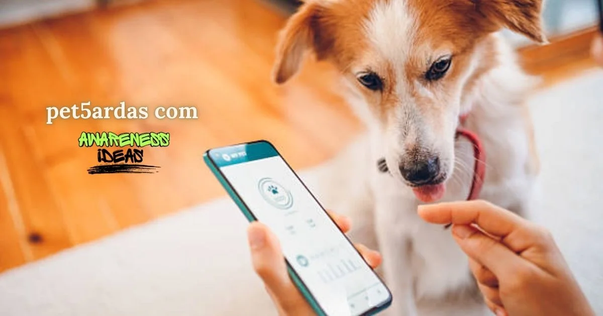 pet5ardas com