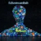 echostreamhub
