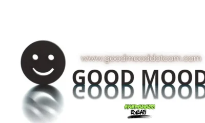 www.goodmooddotcom.com