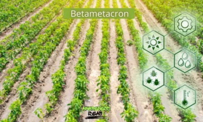 betametacron