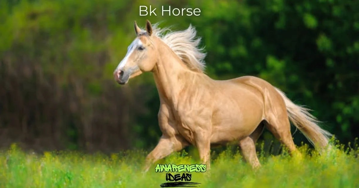 bk horse