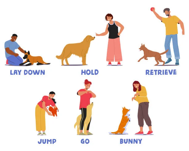 Dog’s Body Language