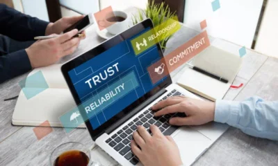 Professional Website Builds