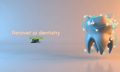nerovet ai dentistry