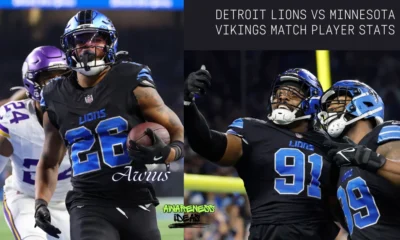 detroit lions vs minnesota vikings match player stats