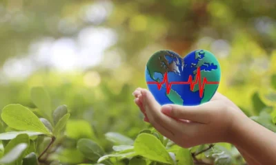 Environmental Noise Assessments