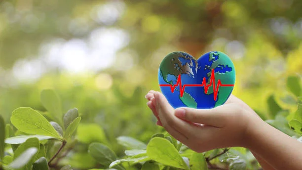 Environmental Noise Assessments