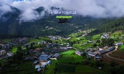 ракитовица
