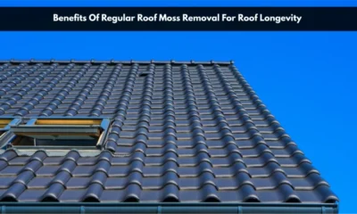 Roof moss removal
