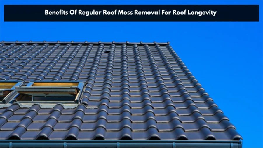 Roof moss removal