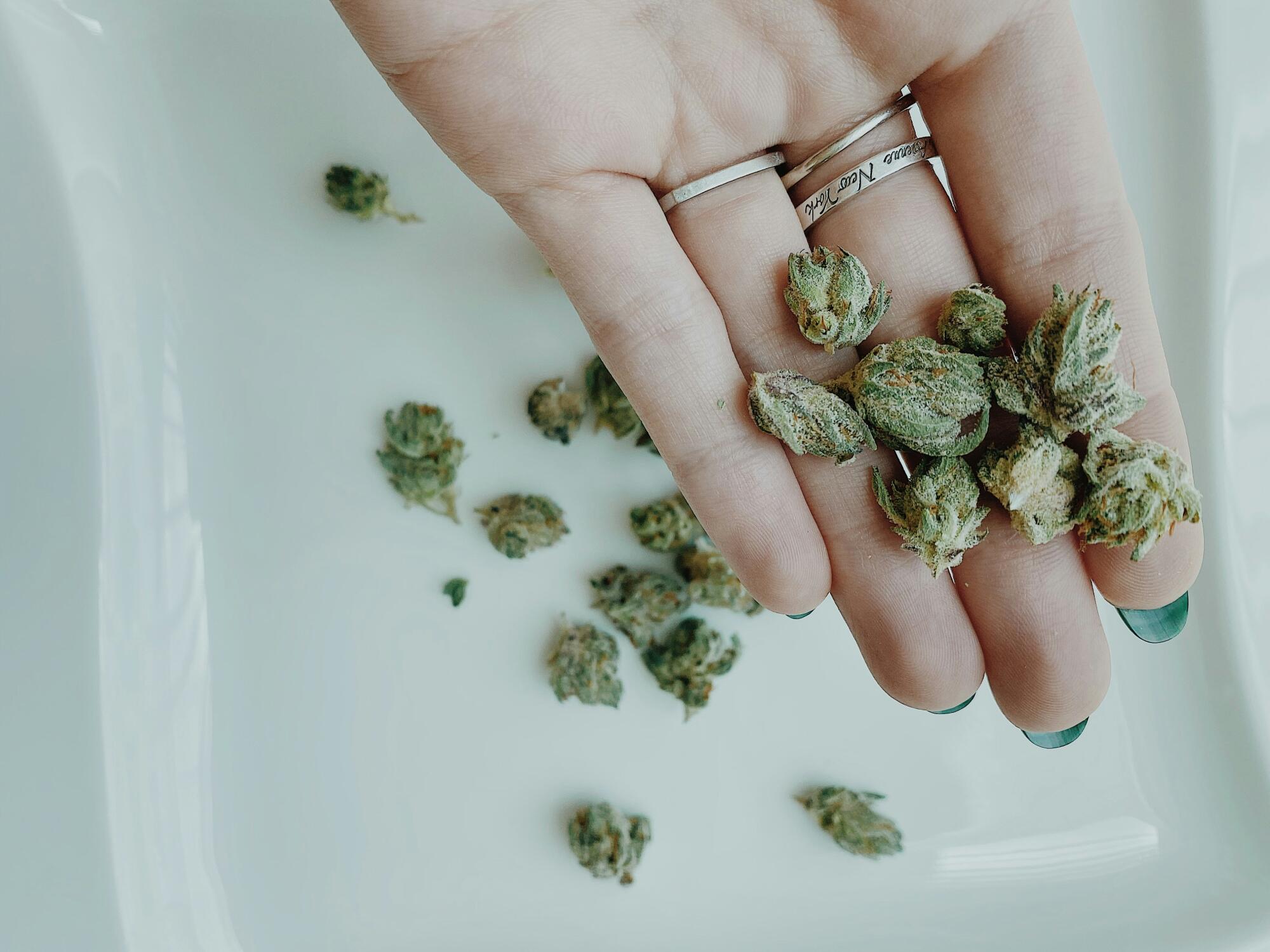 How Medical Cannabis Helps Improve Life With Chronic Conditions