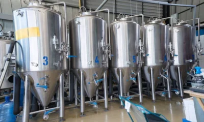 Stainless Steel vs. Plastic Fermenters