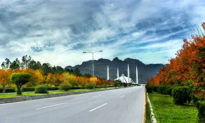 Family-Friendly Areas