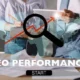 SEO performance