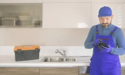 Professional Plumber