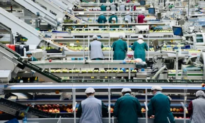 Custom Printed Shrink Sleeves