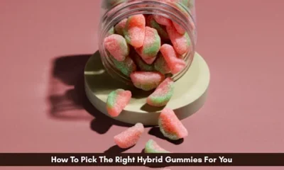 Hybrid gummies