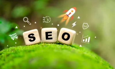 Seo Agency Growth Strategies