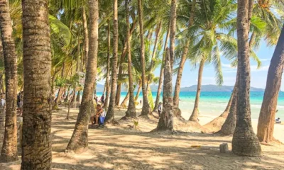 Eco-friendly beach travel