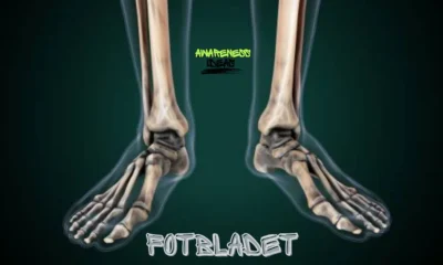 fotbladet