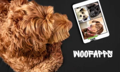 woofapps