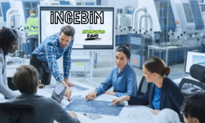 ingebim