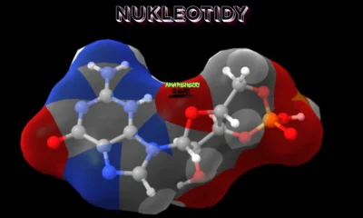 nukleotidy