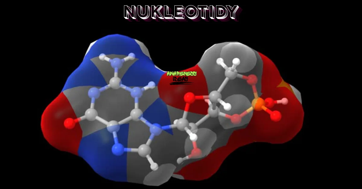 nukleotidy