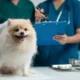 animal hospital