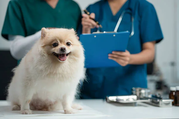animal hospital
